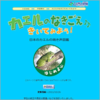 「【日本のカエルの鳴き声図鑑】カエルのなきごえきいてみよう！」のWebサイト