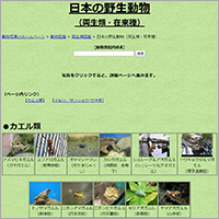 「日本の野生動物（両生類・在来種）」のWebサイト